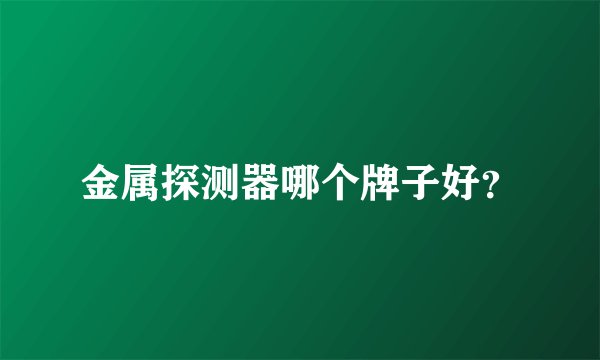 金属探测器哪个牌子好?