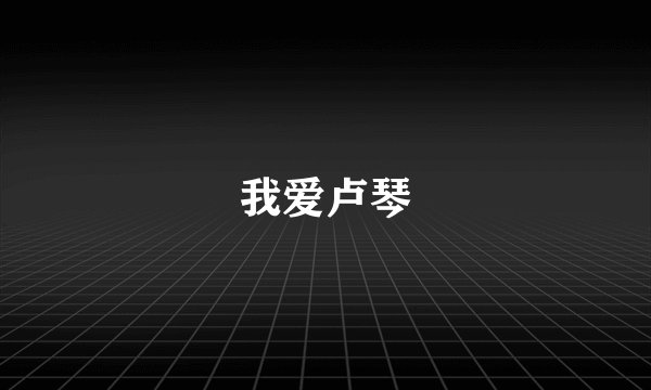 我爱卢琴