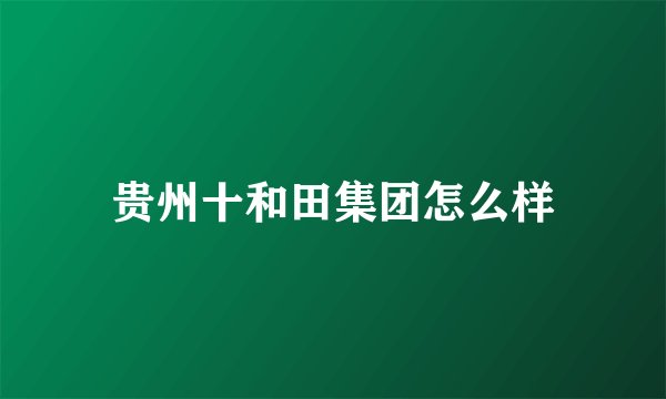 贵州十和田集团怎么样