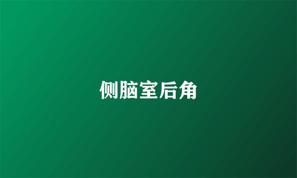 侧脑室后角