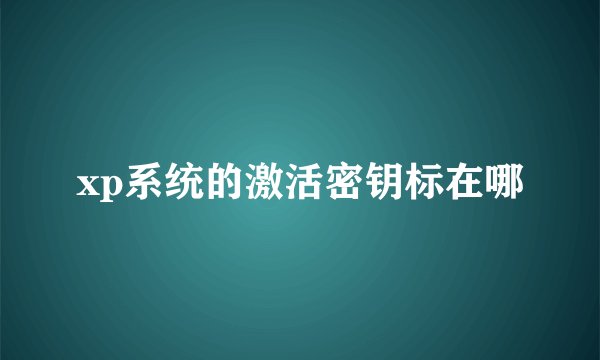 xp系统的激活密钥标在哪