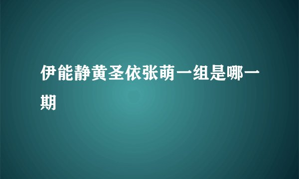 伊能静黄圣依张萌一组是哪一期