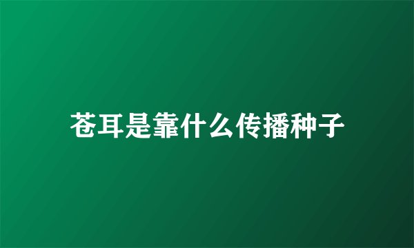 苍耳是靠什么传播种子