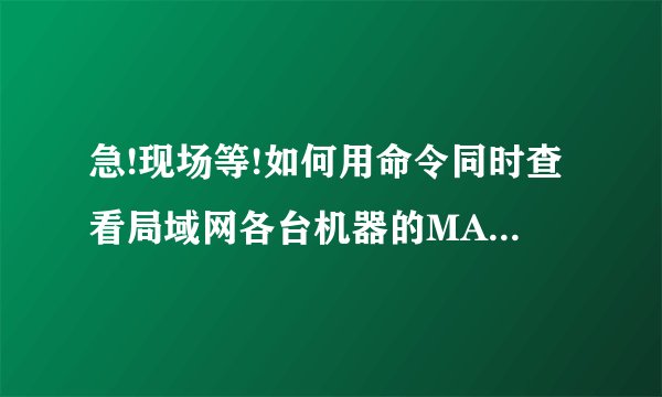 急!现场等!如何用命令同时查看局域网各台机器的MAC地址,随后保存在一个文本文档中!