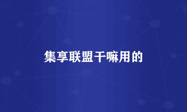 集享联盟干嘛用的
