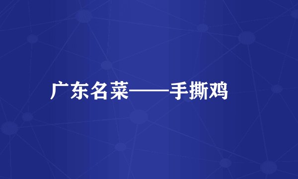 广东名菜——手撕鸡🐔