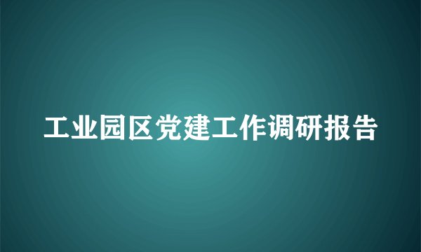 工业园区党建工作调研报告