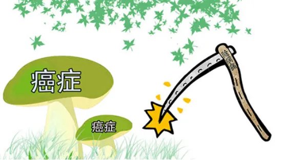 癌症会遗传吗