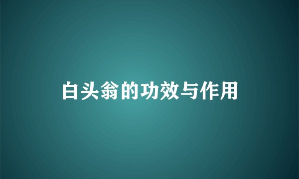 白头翁的功效与作用