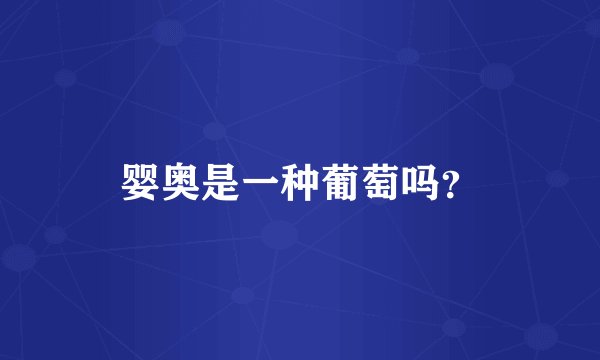婴奥是一种葡萄吗？