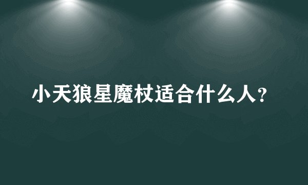 小天狼星魔杖适合什么人？