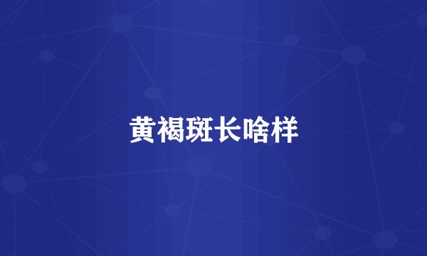 黄褐斑长啥样