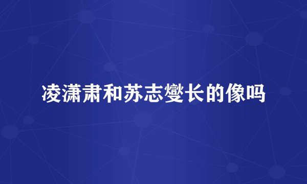凌潇肃和苏志燮长的像吗
