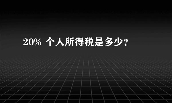 20% 个人所得税是多少?