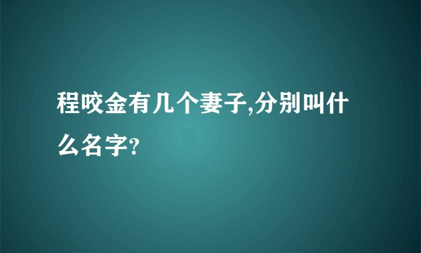 程咬金有几个妻子,分别叫什么名字?