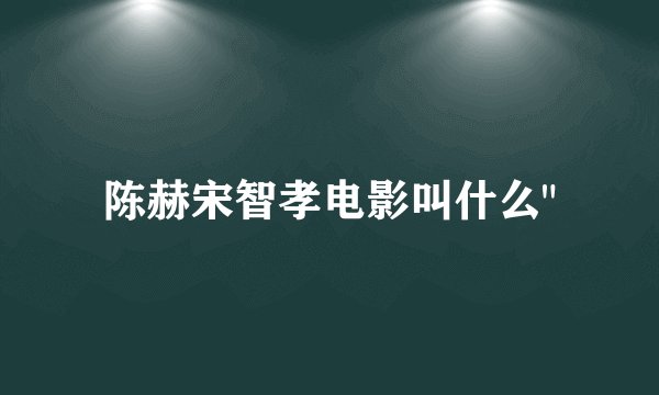 陈赫宋智孝电影叫什么