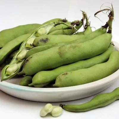 缺锌吃什么好