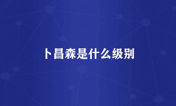 卜昌森是什么级别