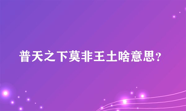 普天之下莫非王土啥意思？