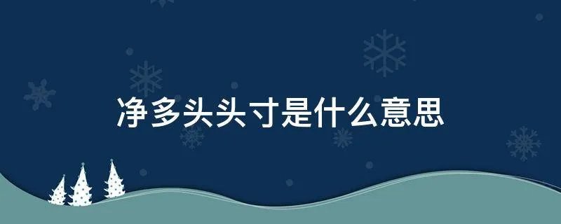 净多头头寸是什么意思