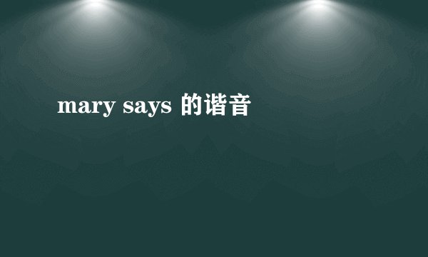 mary says 的谐音