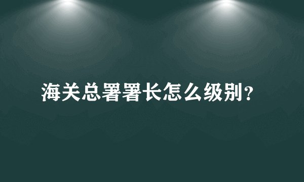海关总署署长怎么级别？