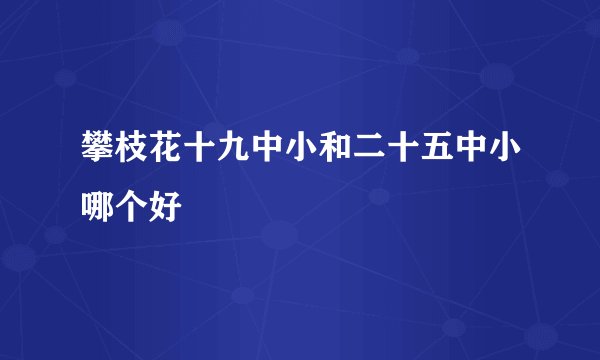 攀枝花十九中小和二十五中小哪个好