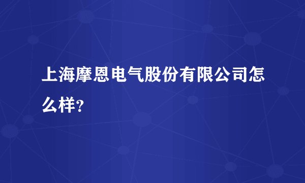 上海摩恩电气股份有限公司怎么样?
