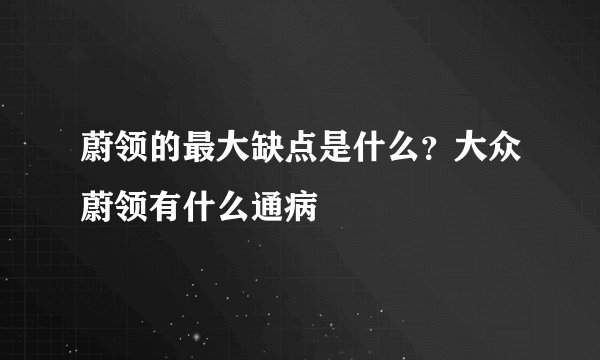 蔚领的最大缺点是什么?大众蔚领有什么通病