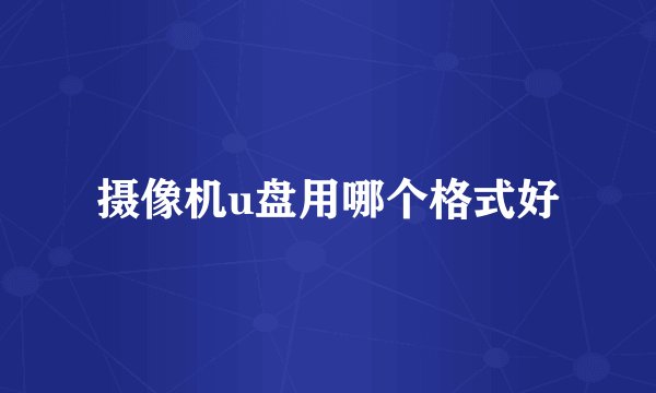 摄像机u盘用哪个格式好