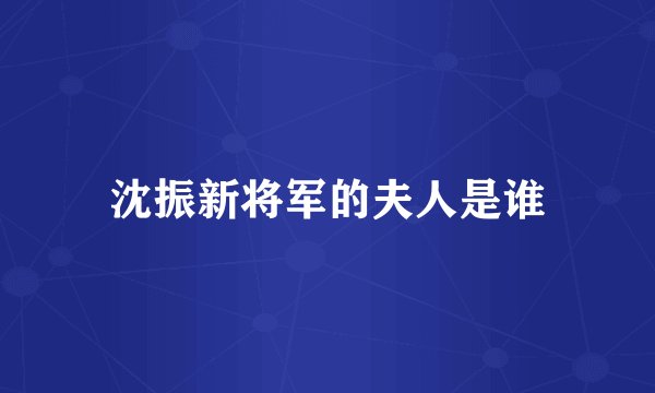 沈振新将军的夫人是谁