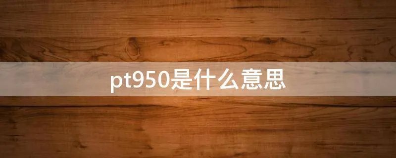 pt950是什么意思