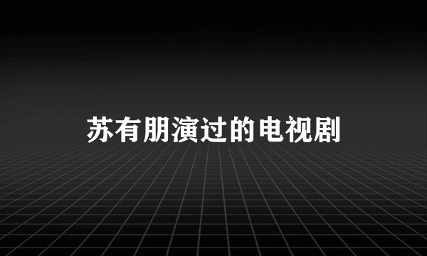 苏有朋演过的电视剧