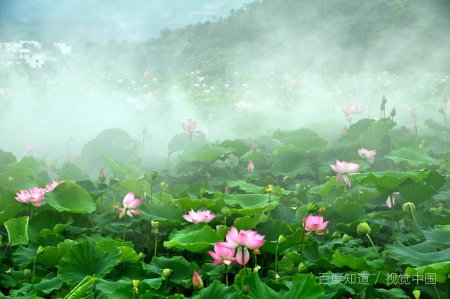 虎牌保险柜没电了这是怎么回事,怎么打开