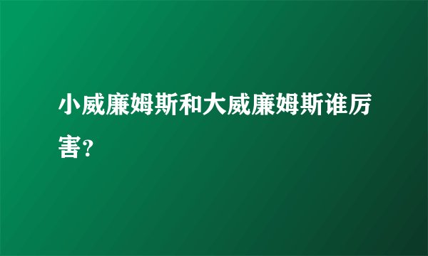 小威廉姆斯和大威廉姆斯谁厉害？