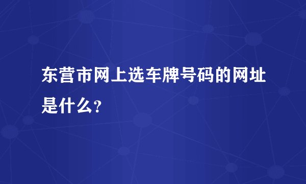 东营市网上选车牌号码的网址是什么？