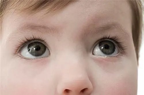眼睛有这特征的孩子智商最高：孩子更聪明（图）