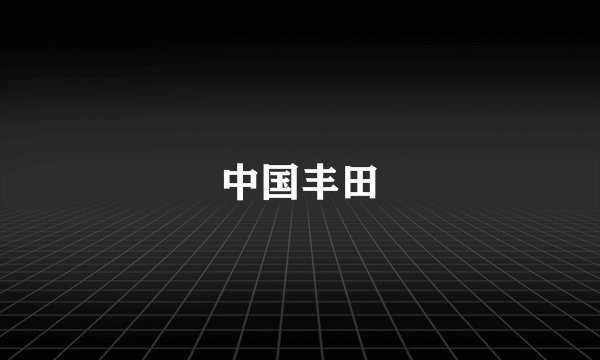 中国丰田