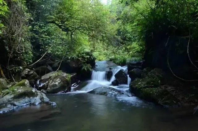 五一去崇义旅游,去玩过的驴友可以说下攻略吗?