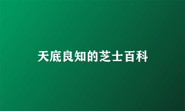 天底良知的芝士百科