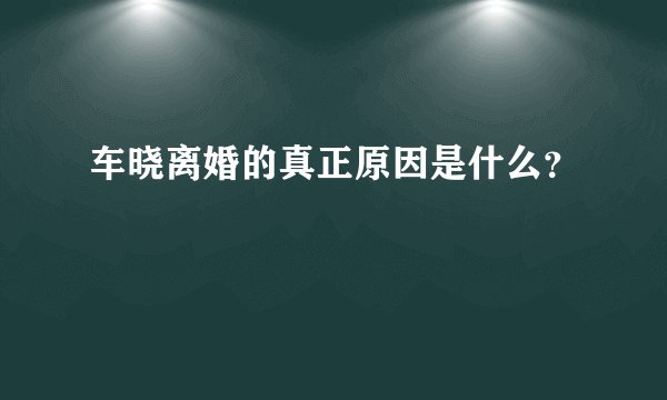 车晓离婚的真正原因是什么？