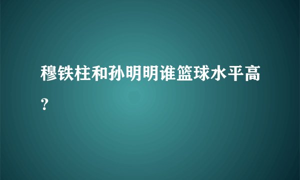 穆铁柱和孙明明谁篮球水平高?