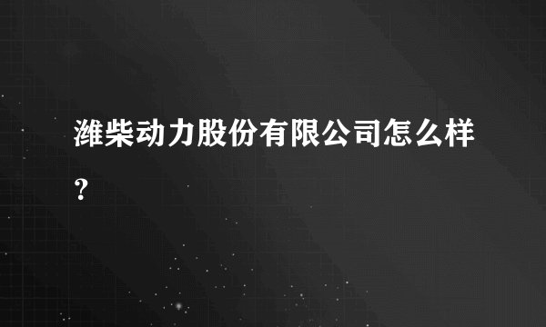 潍柴动力股份有限公司怎么样？