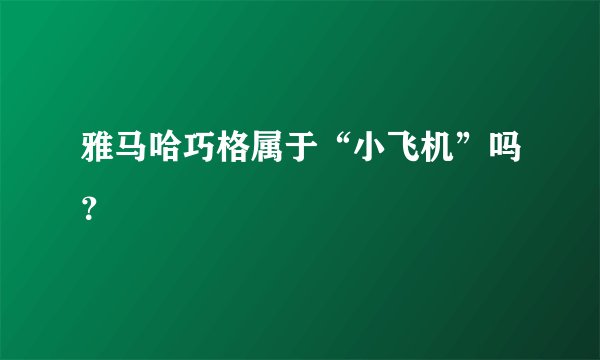 雅马哈巧格属于“小飞机”吗？