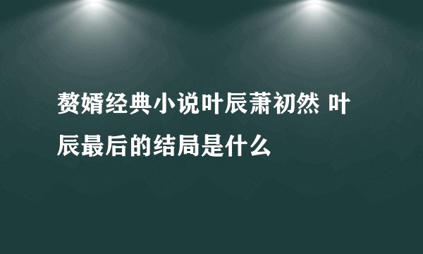 赘婿经典小说叶辰萧初然 叶辰最后的结局是什么