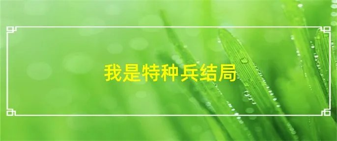 我是特种兵结局