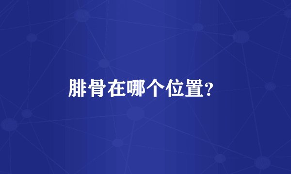 腓骨在哪个位置？