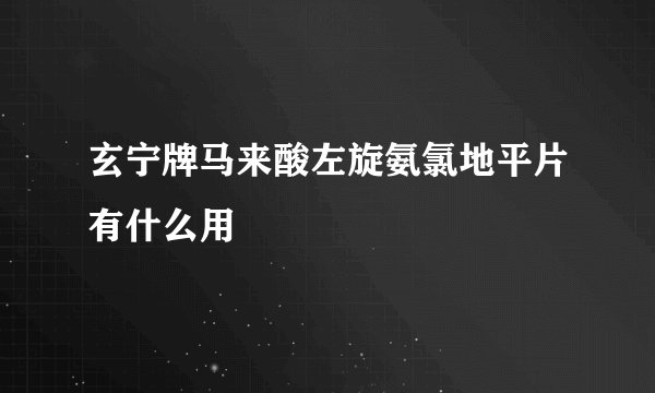 玄宁牌马来酸左旋氨氯地平片有什么用