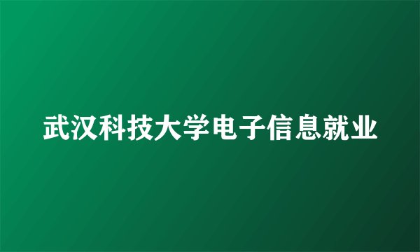 武汉科技大学电子信息就业