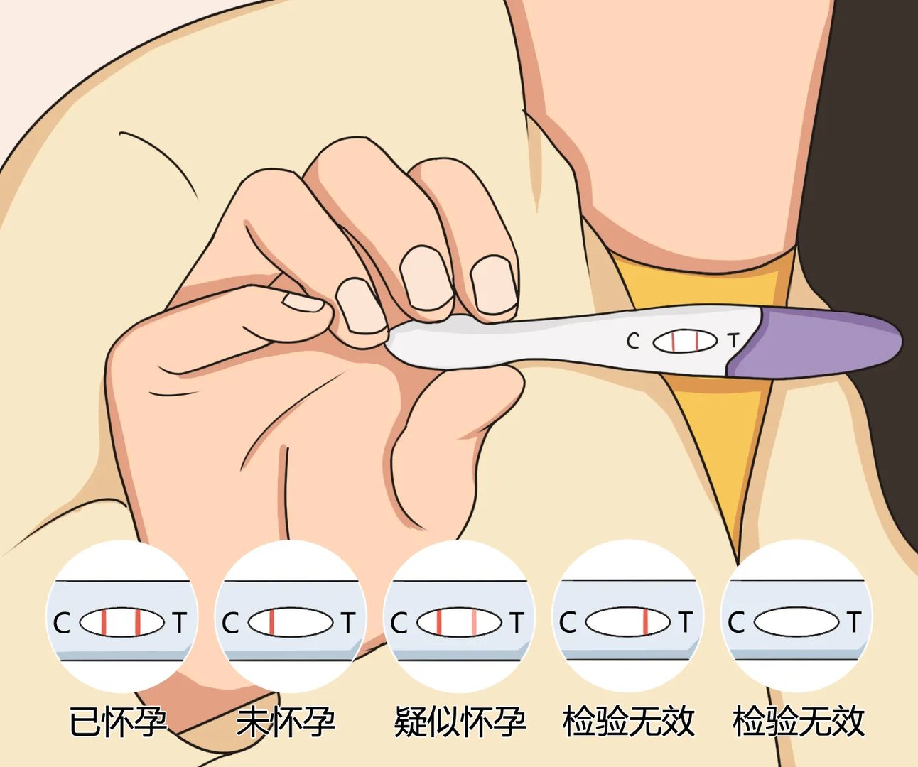 验孕棒怎么看